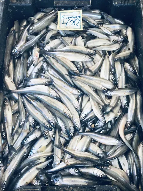 Smelts