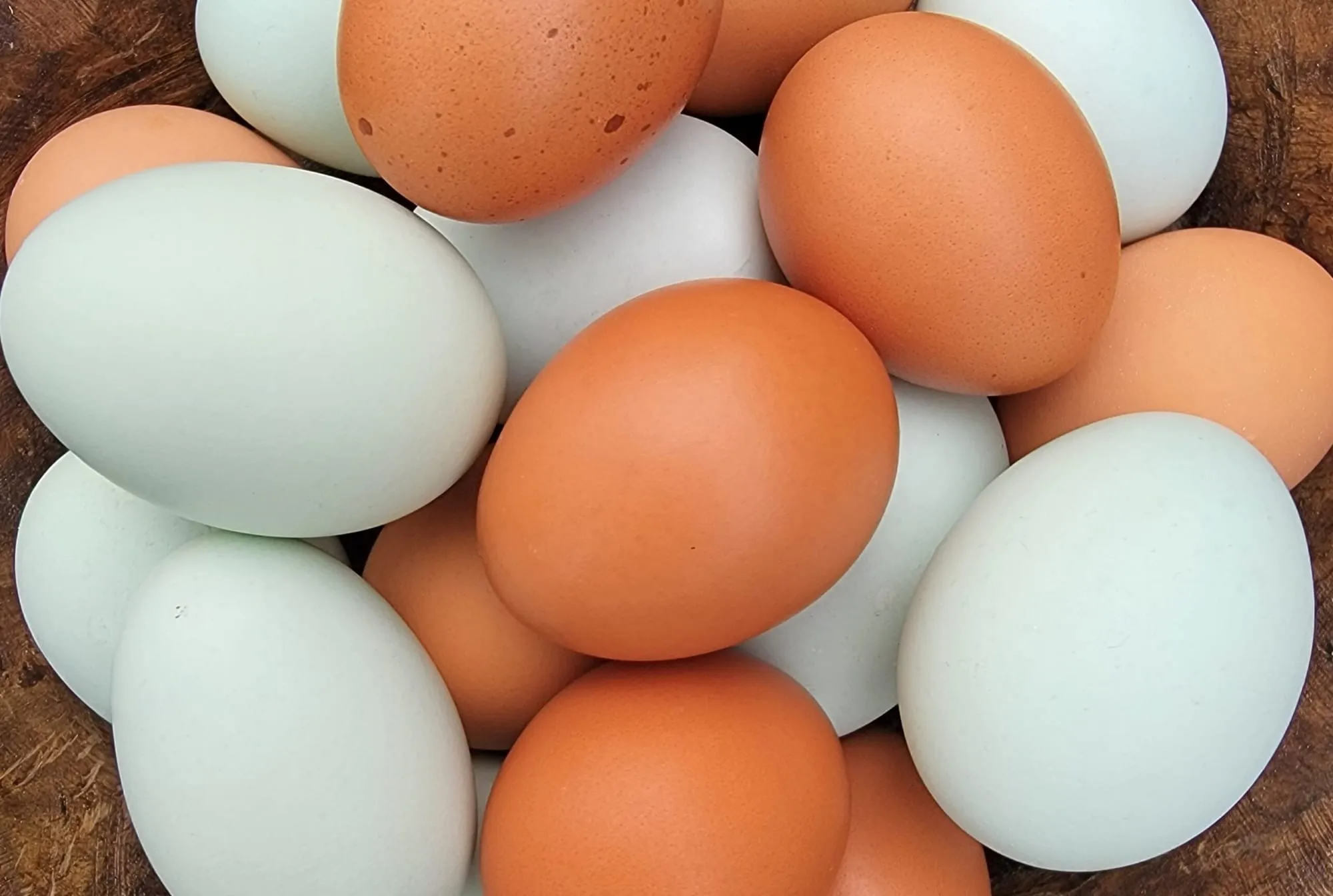 A wooden bowl of brown and pale blue farm eggs