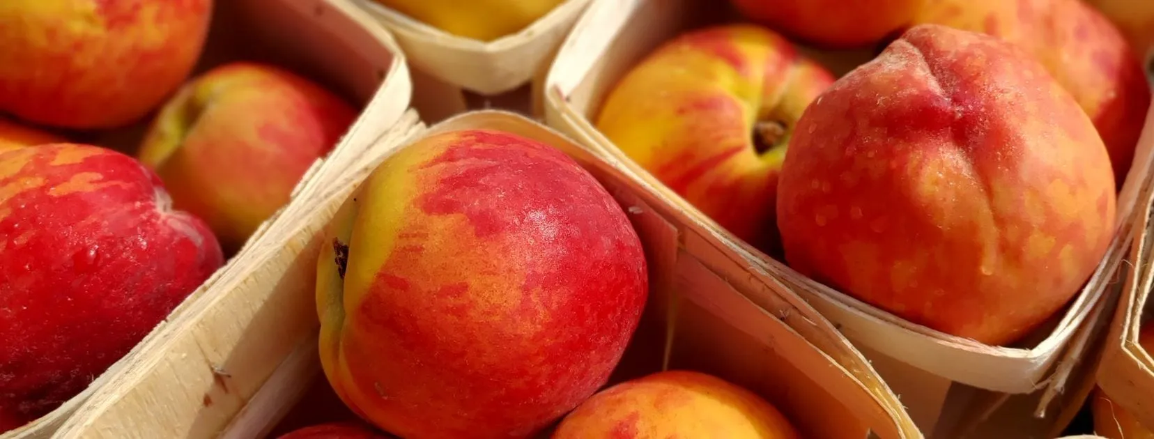 Ripe red and gold peaches in wooden quart baskets