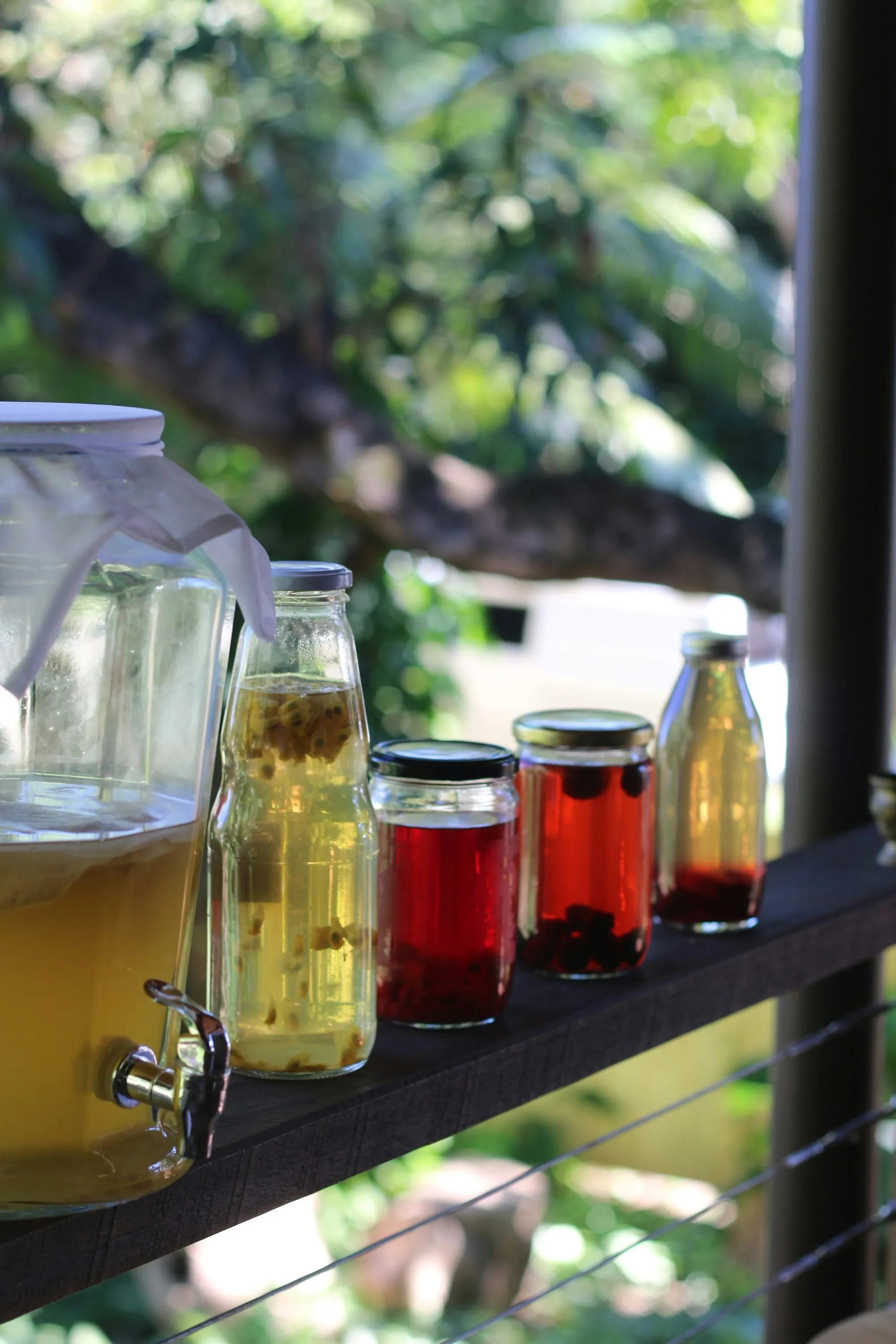 A kombucha brewing jar beside bottles and jars of fruit-flavored kombucha on a sunny shelf
