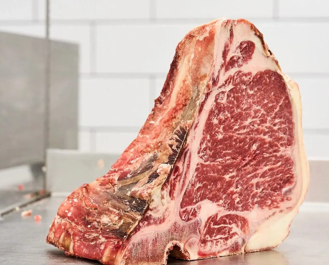 A thick dry-aged porterhouse steak standing on a stainless steel butcher block