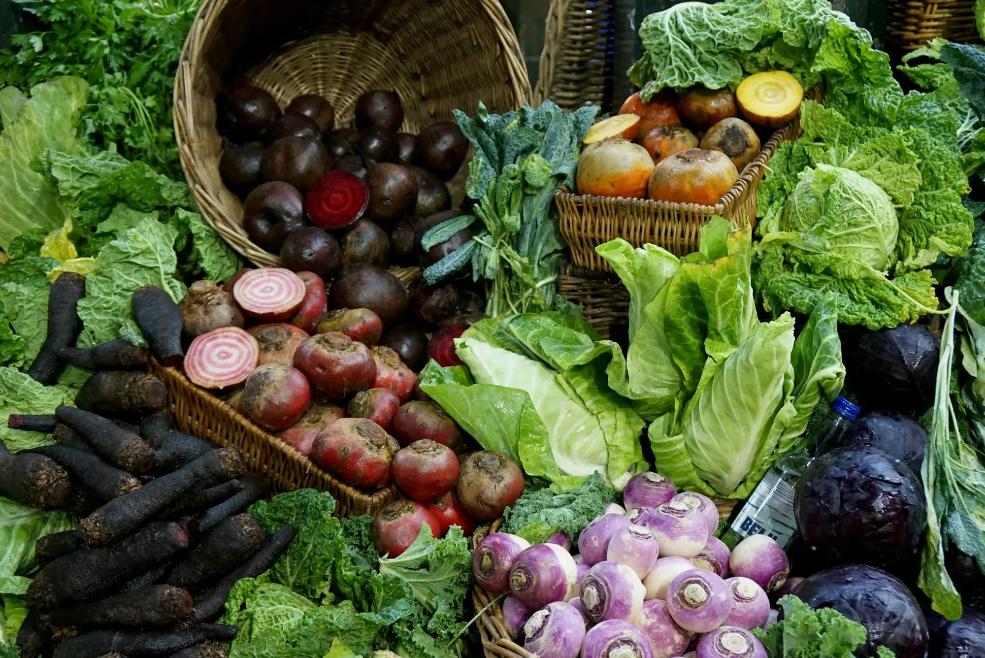 Baskets of beets, turnips, black carrots, cabbage and greens (stock photo)