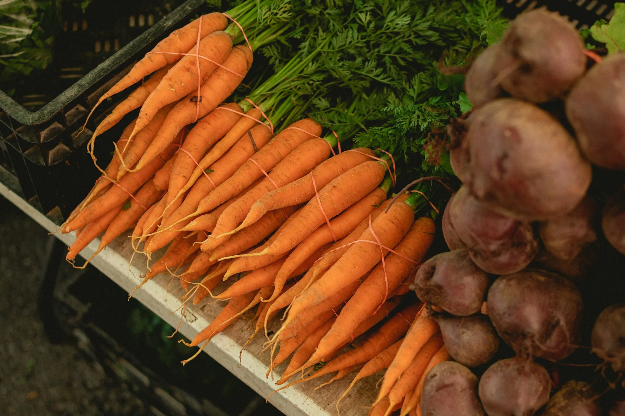 Bunches of fresh carrots and beets at a farm stand (stock photo)
