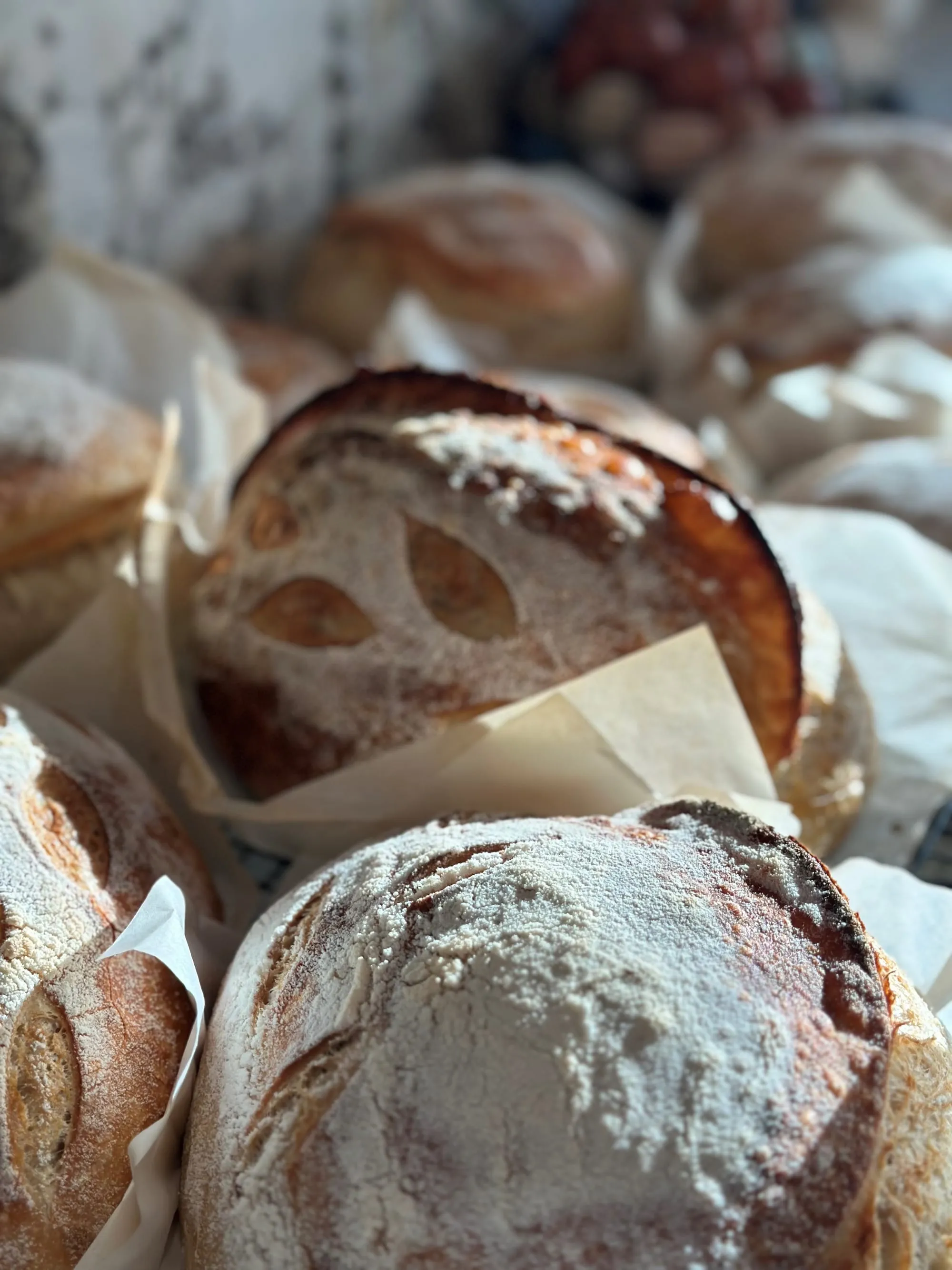 Flour-dusted sourdough loaves with leaf scoring, wrapped in parchment