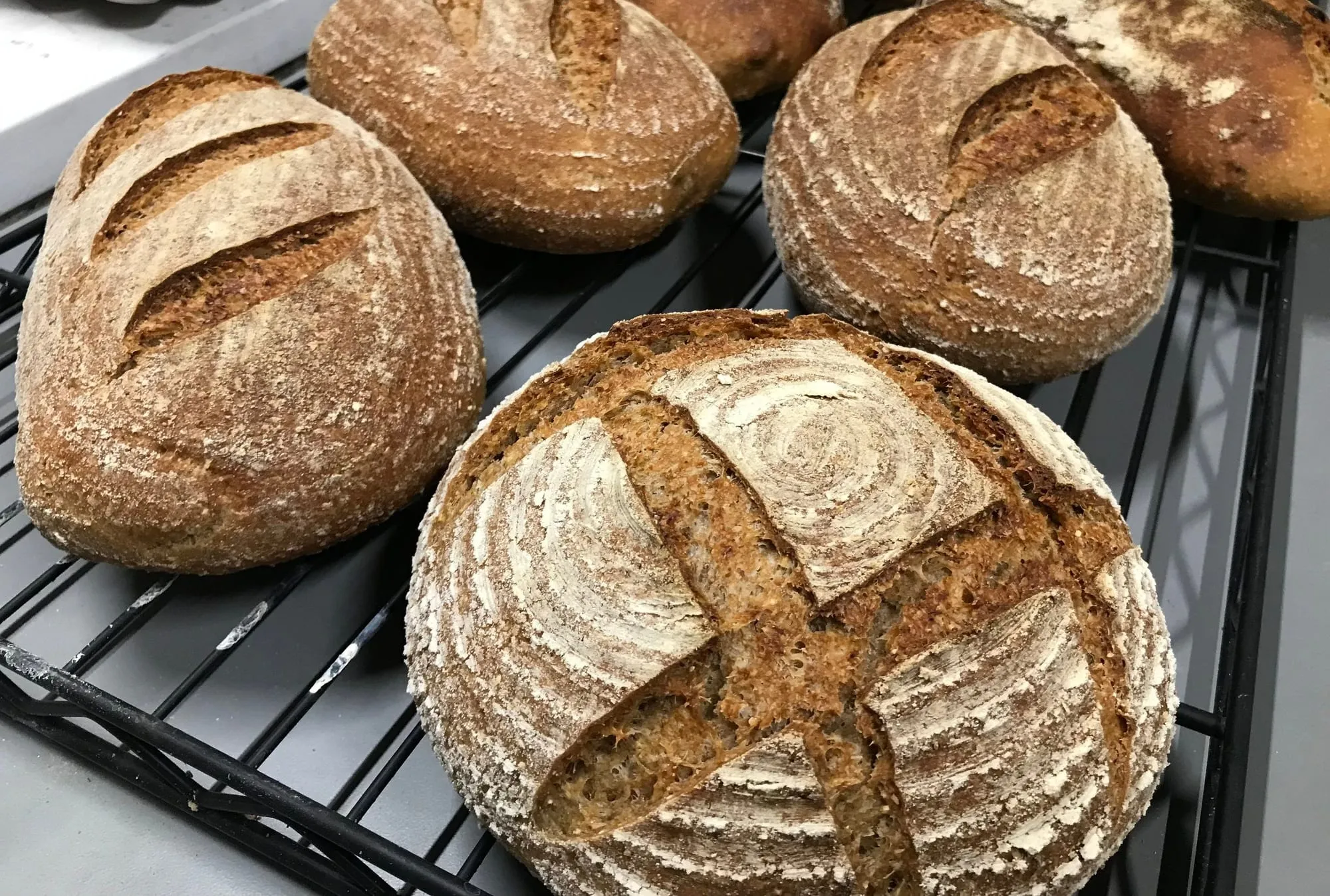 Scored, flour-dusted sourdough loaves cooling on a wire rack