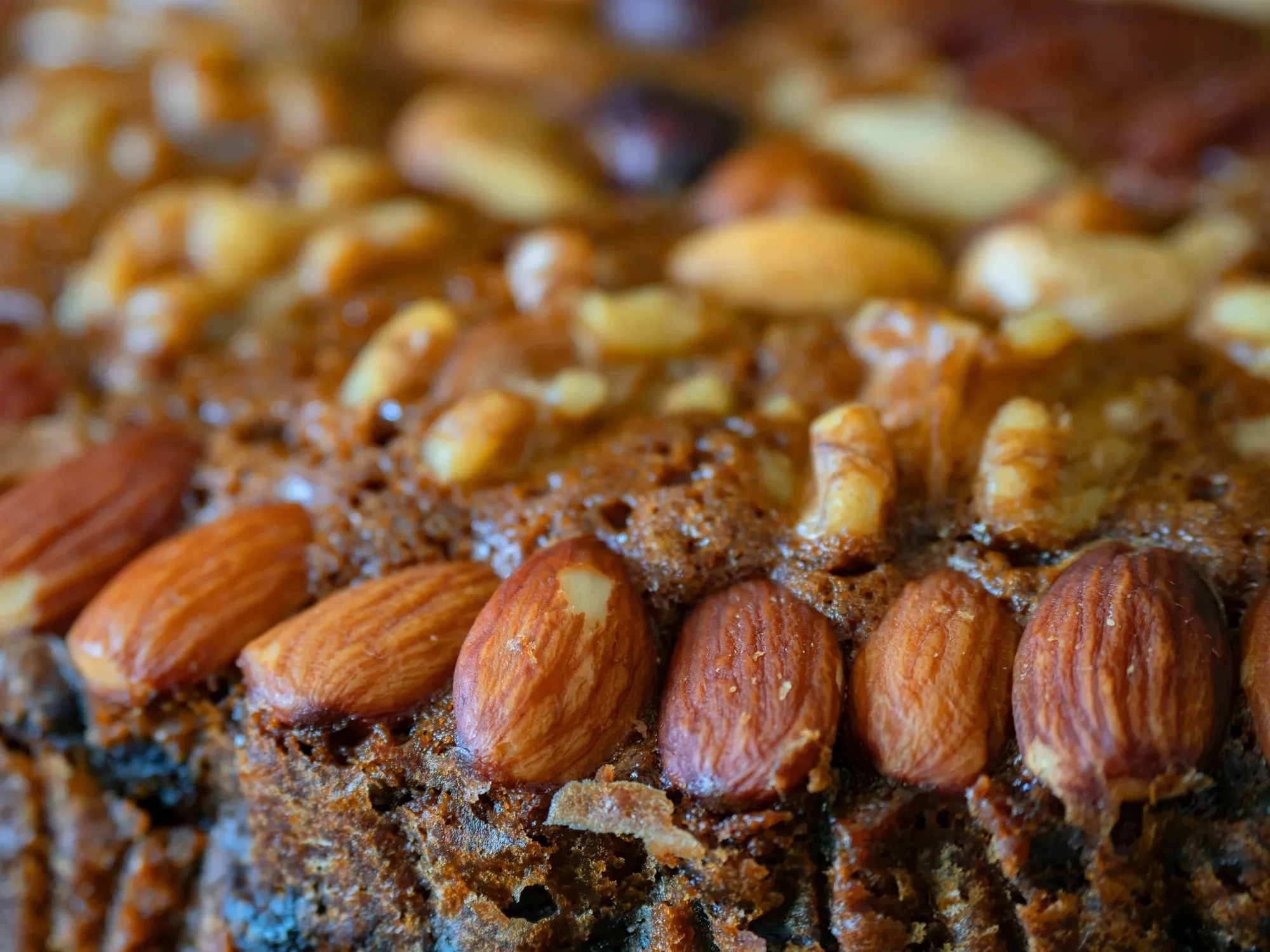 Close-up of a dark fruit cake topped with almonds and walnuts