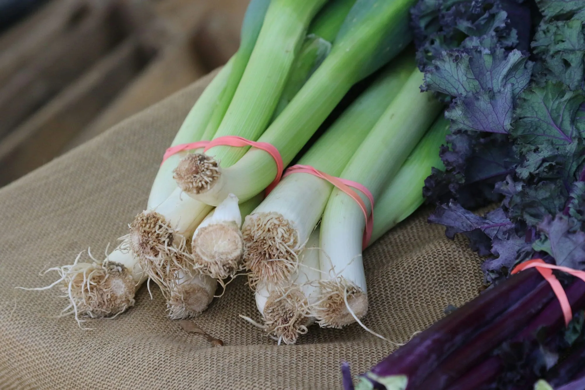 Bundled fresh leeks beside purple kale on burlap (stock photo)
