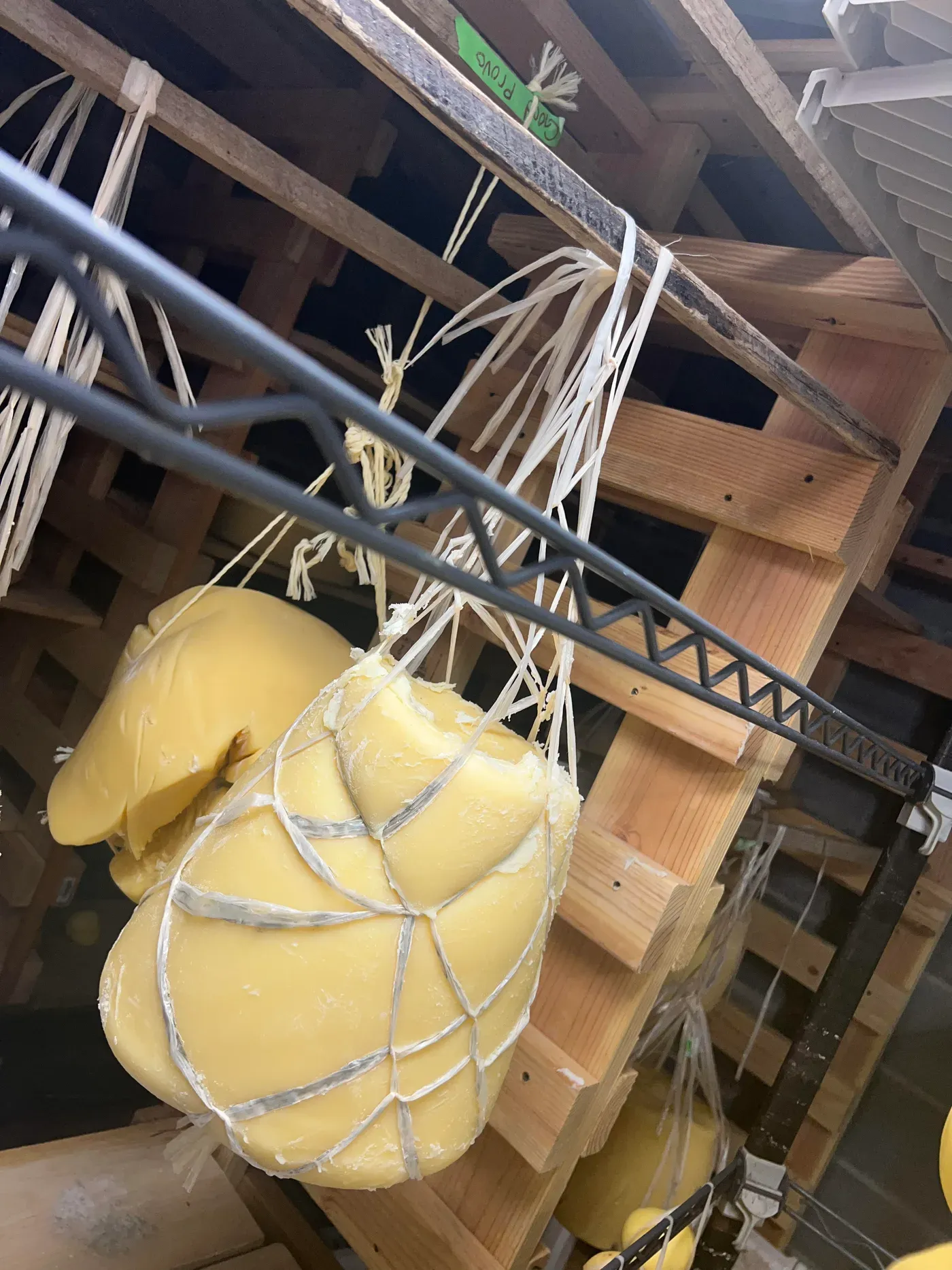 Caciocavallo cheeses hanging to age in the cave at Jersey Girl Cheese