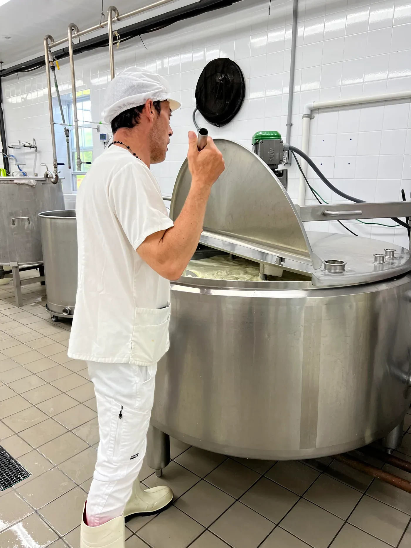 A cheesemaker checking the milk in a stainless steel vat at Jersey Girl Cheese