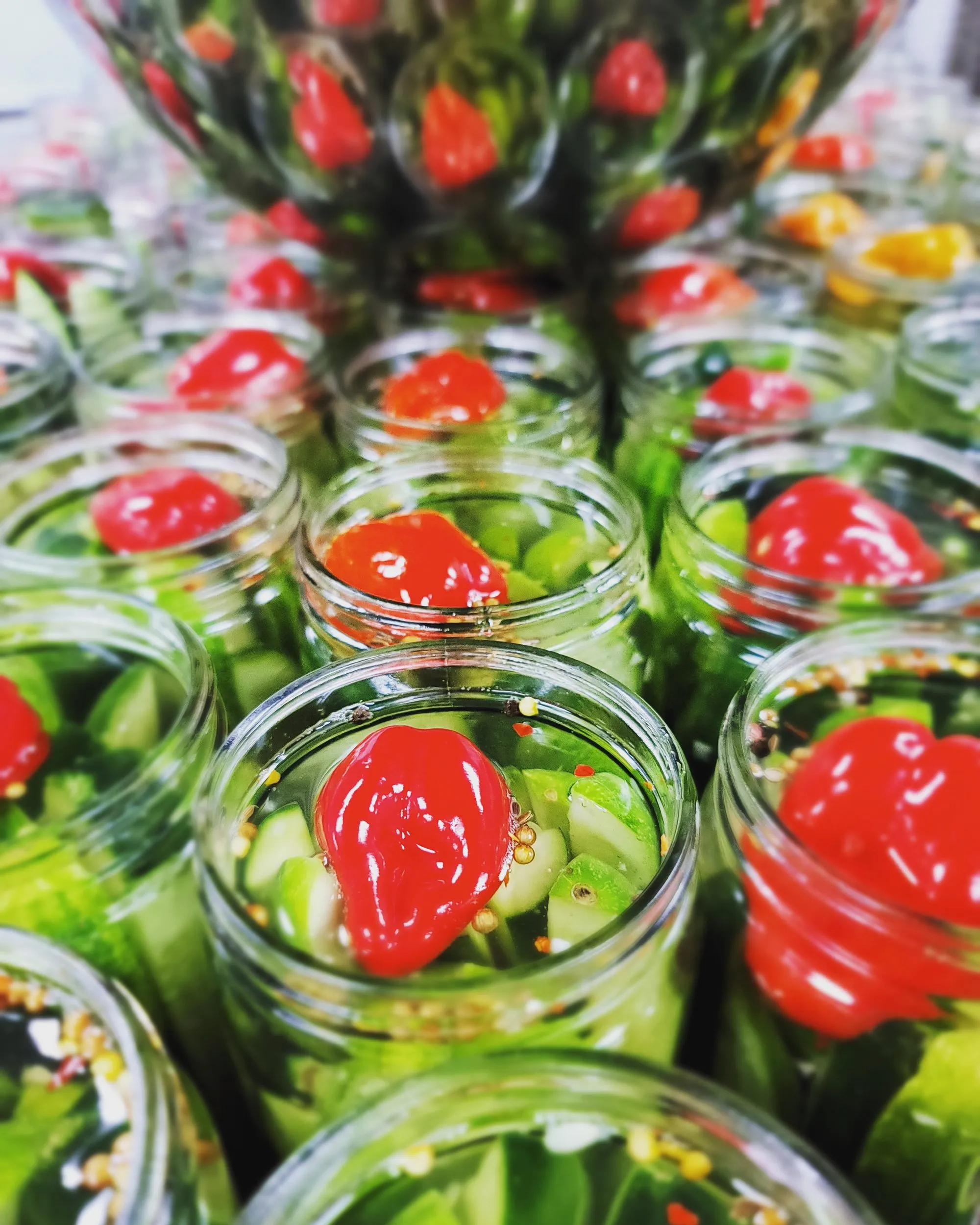 Open jars of cucumbers and red peppers being packed for pickling at Kilhaney's