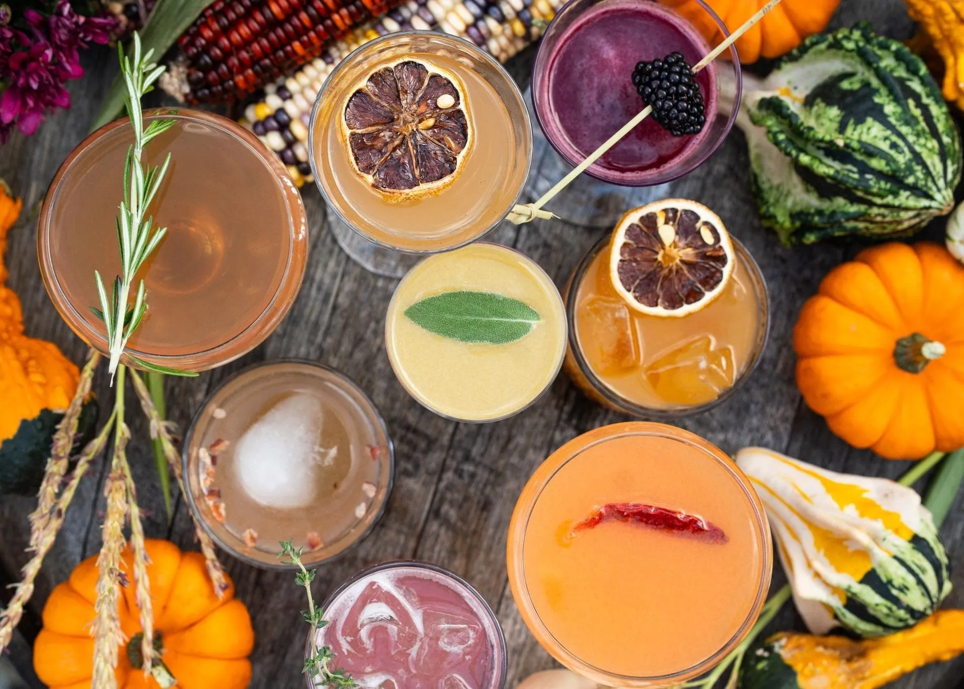 Overhead view of fall cocktails garnished with dried citrus, sage and blackberries among pumpkins and gourds