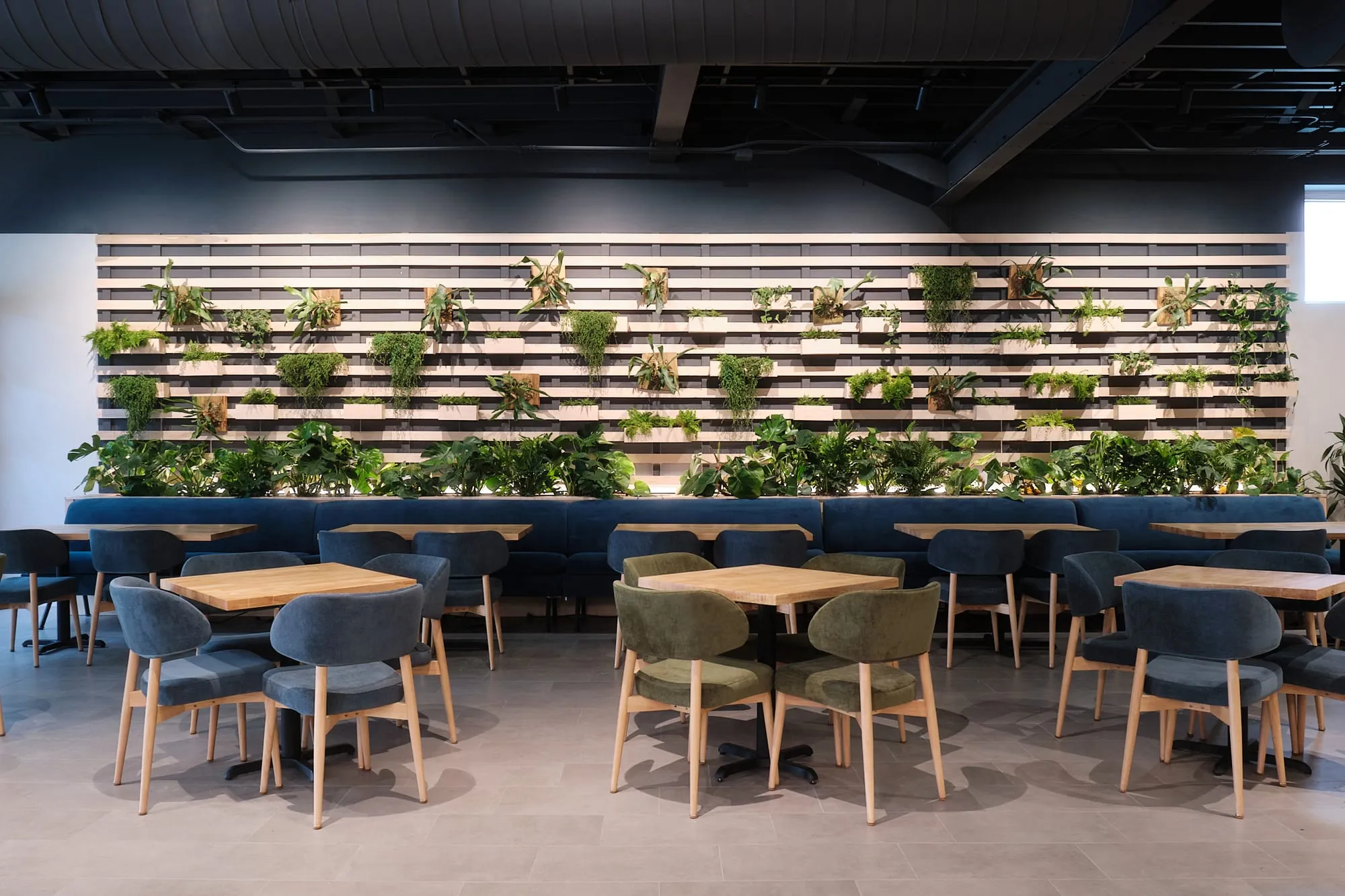 Middlemist’s plant-filled taproom on Main Street in Somerville