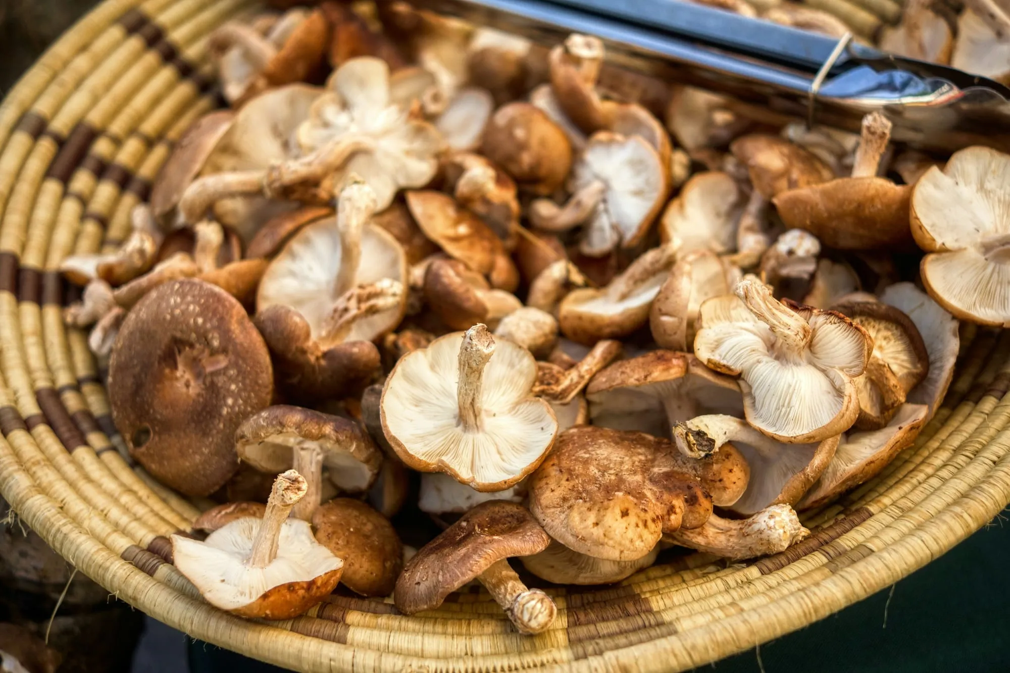 Fresh shiitake mushrooms in a woven basket (stock photo)