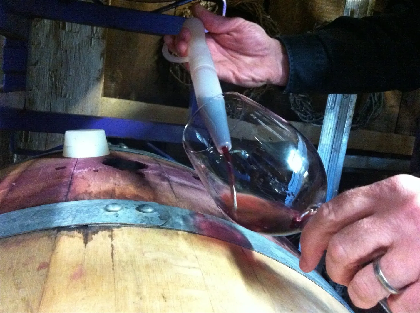 Drawing wine from a barrel with a wine thief at Mount Salem Vineyards
