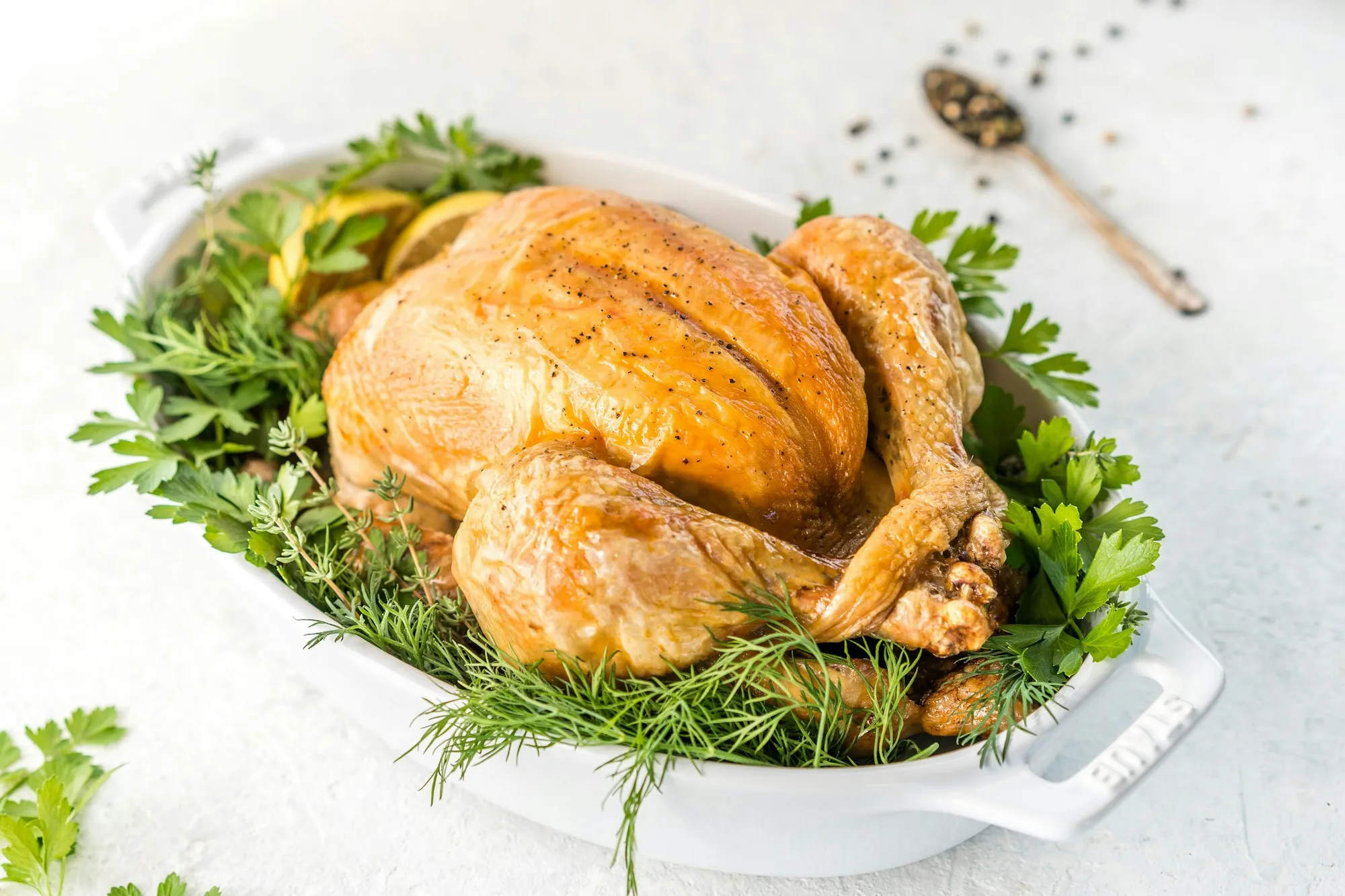 A whole roast turkey nestled in fresh herbs and lemon in a white roasting dish (stock photo)