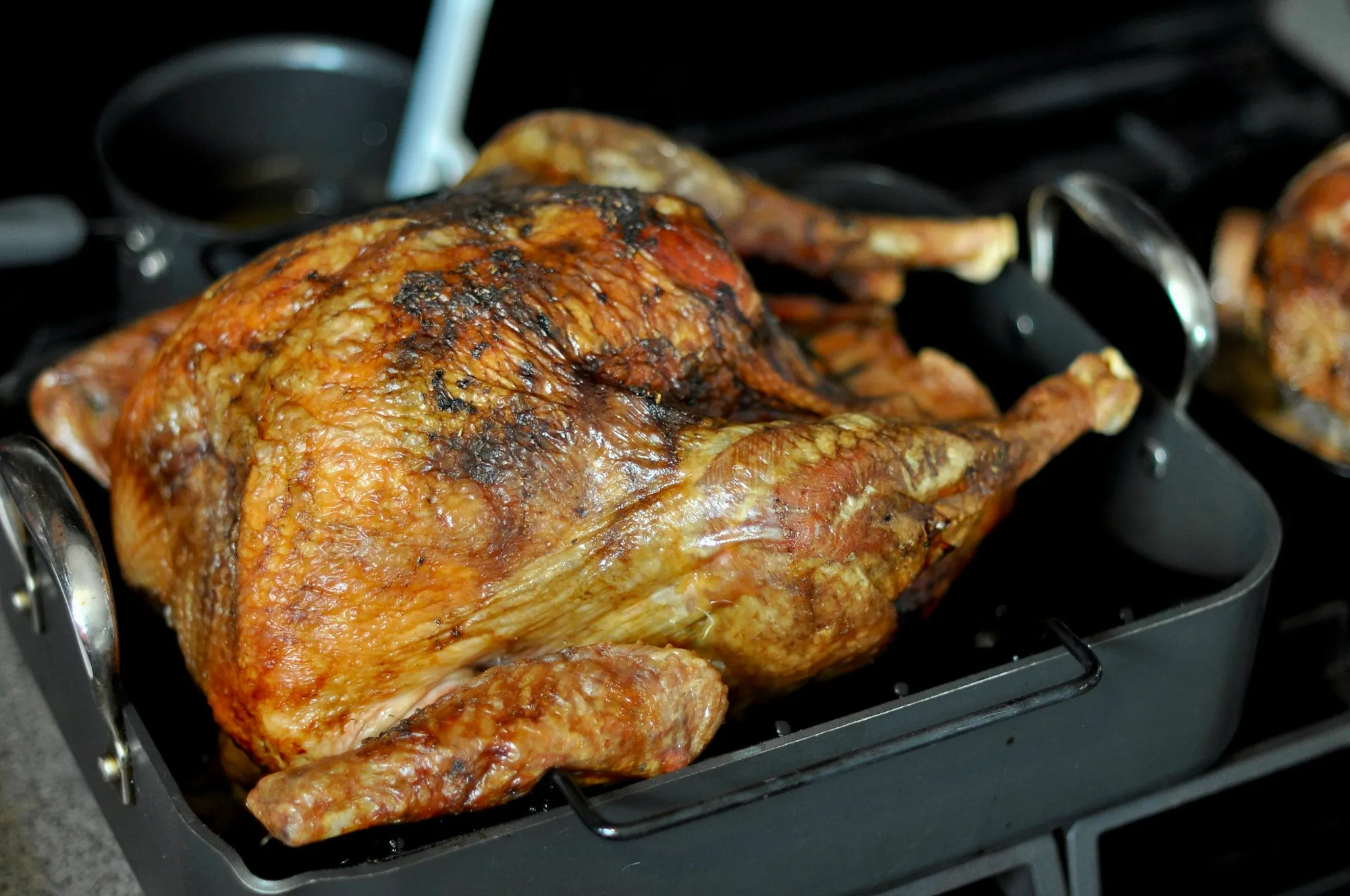 A golden brown whole roast turkey in a dark roasting pan (stock photo)