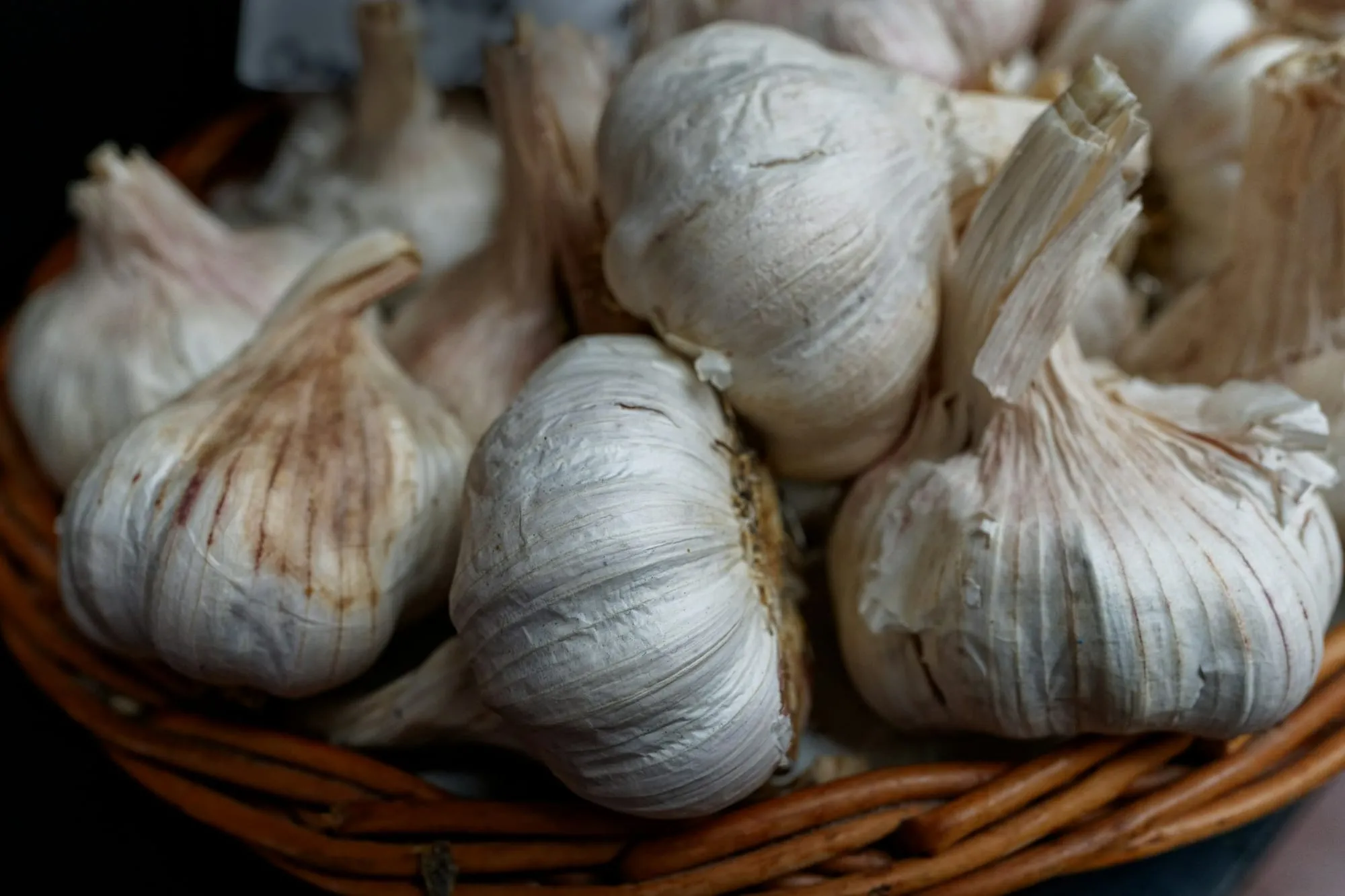 Plump white garlic bulbs piled in a woven basket (stock photo)
