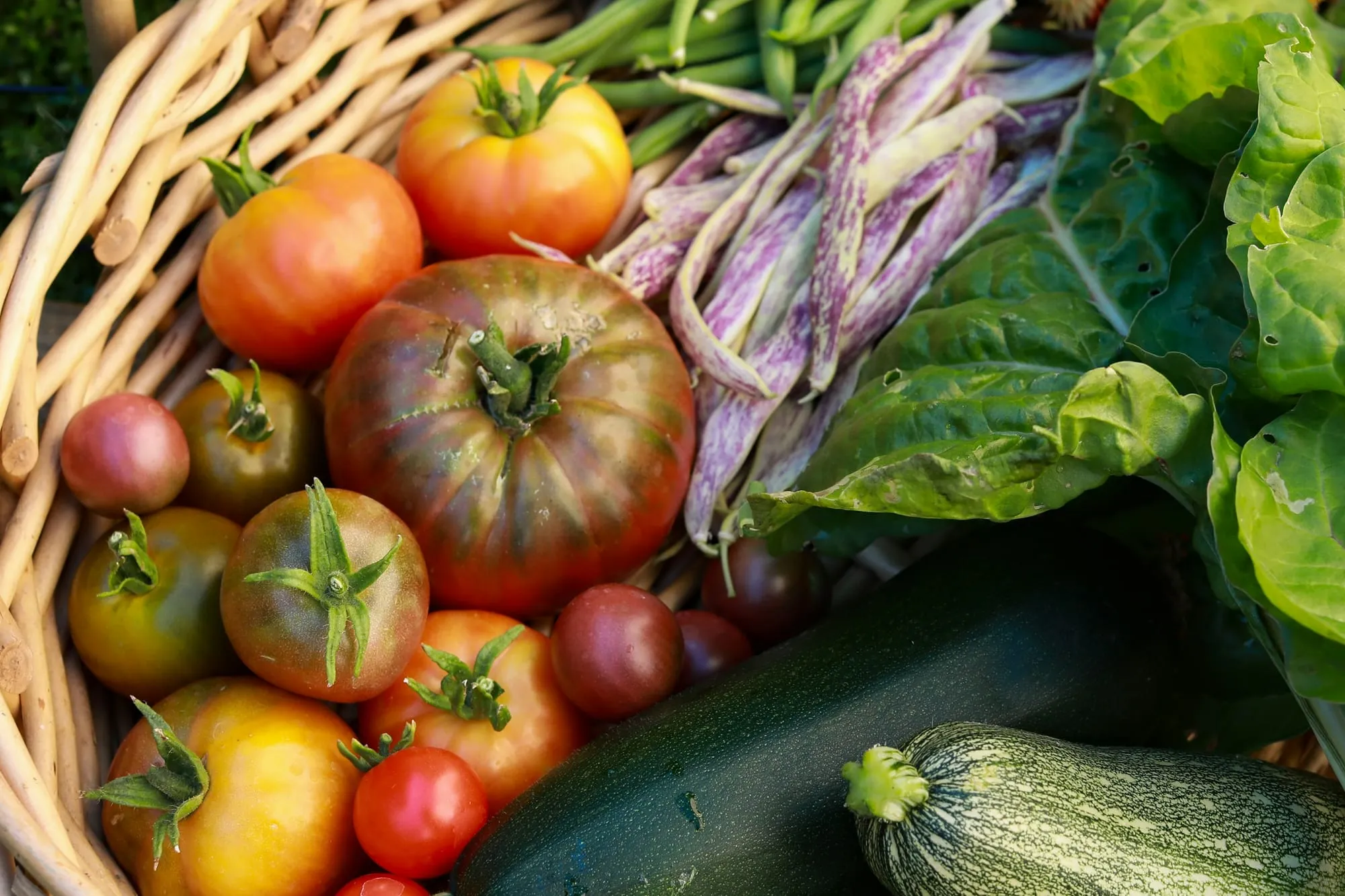 A woven basket of heirloom tomatoes, cherry tomatoes, zucchini, purple-streaked beans and greens (stock photo)