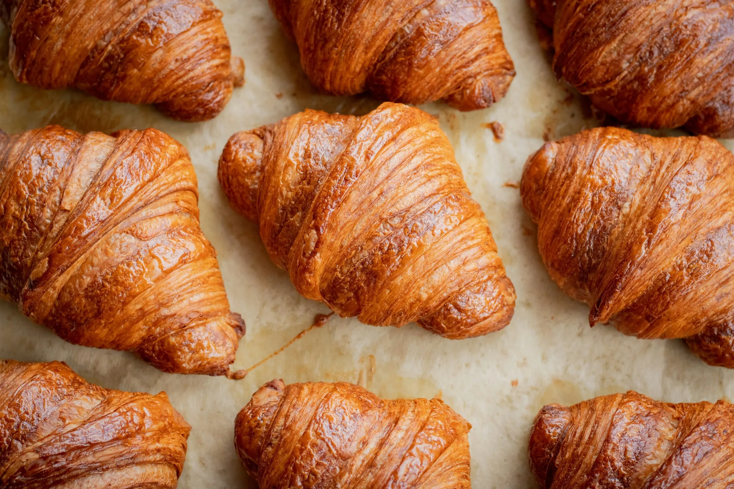 Golden croissants on a baking tray (stock photo)