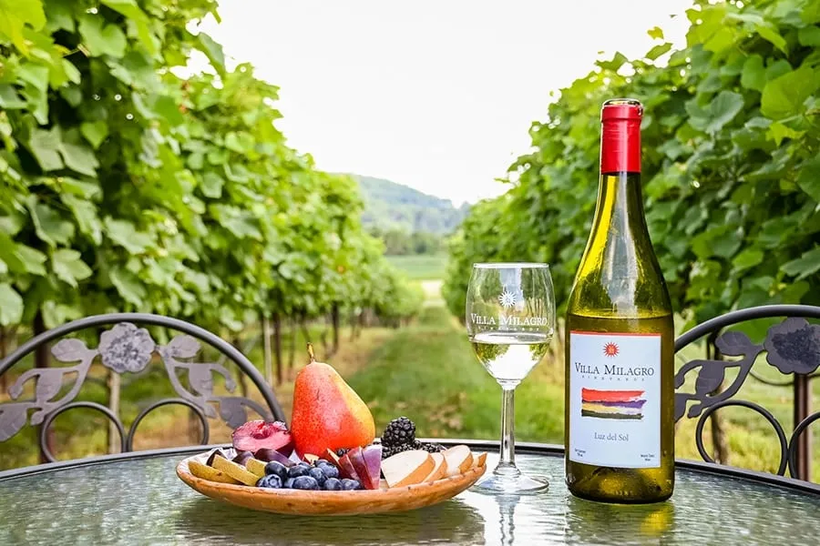 A bottle and glass of Villa Milagro wine with fruit in the vineyard